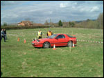 Grass Autotest. Click on image to view it full size.